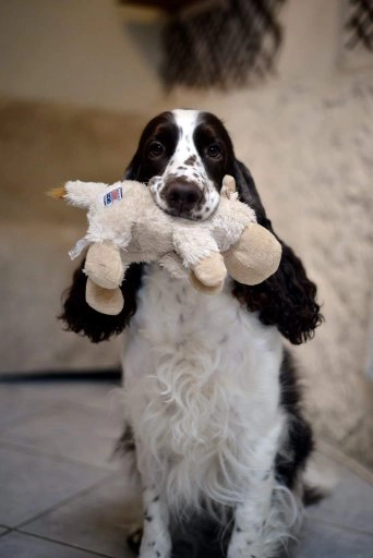 Holly avec son doudou