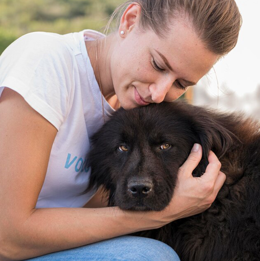 SÉANCE THÉRAPEUTIQUE individuel ou groupale
